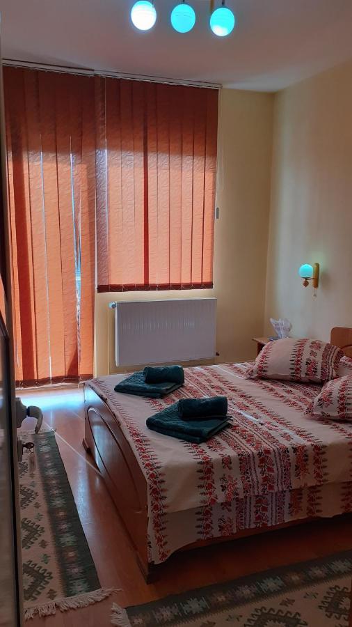 Pensiunea Casa Popan Syhot Marmaroski Zewnętrze zdjęcie